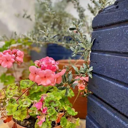 Сasa de vacaciones Yaka Taş Ev - Datça Palamutbükü'ne çok Yakın özel Taş Ev Yaka (Mugla)