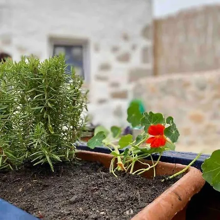 Feriehus Yaka Tas Ev - Datca Palamutbuekue'ne Cok Yakin Oezel Tas Ev